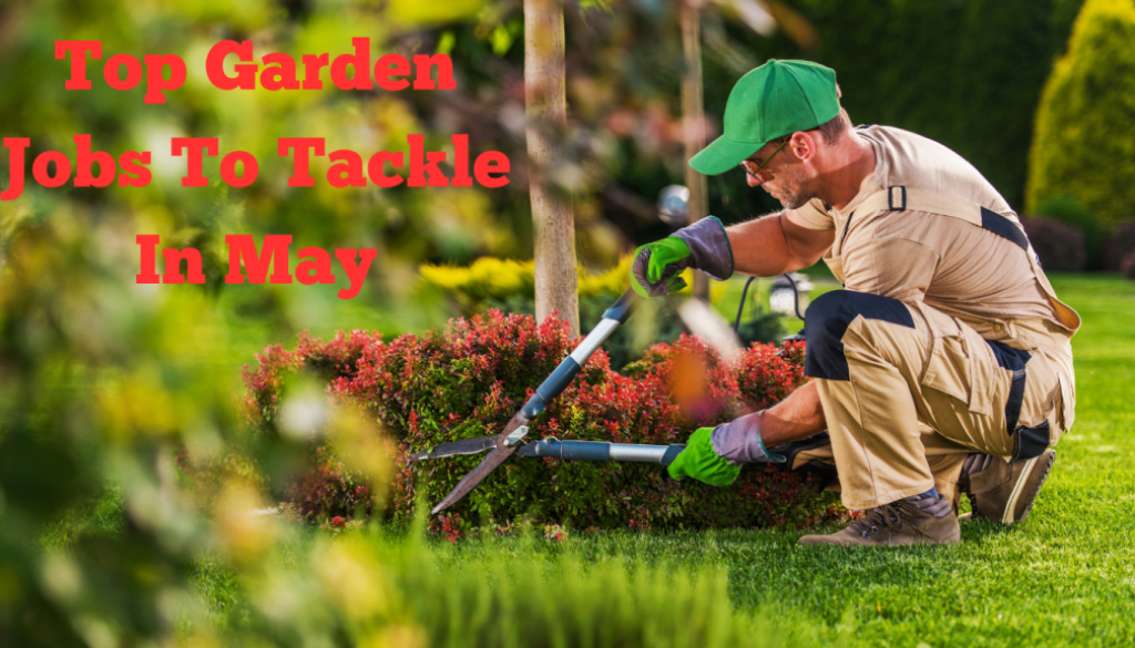 Spring into Action: Top Garden Jobs to Tackle in May