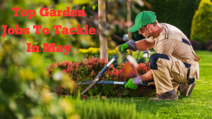 Spring into Action: Top Garden Jobs to Tackle in May