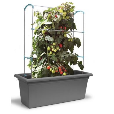 Gardenico Self-Watering Mobile Living Wall Kit - 100cm - Stone Grey