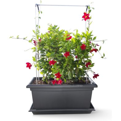 Gardenico Self-Watering Mobile Living Wall Kit - 80cm - Anthracite