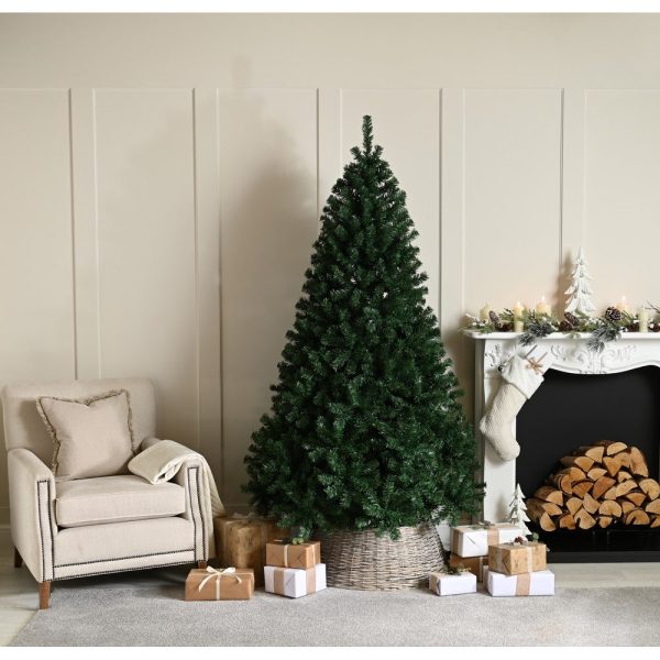 6ft Wentworth Fir Christmas Tree Artificial - 820 Tips