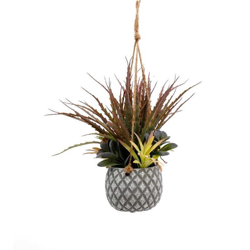 Hanging Succulents in Lattice Design Small Grey Pot