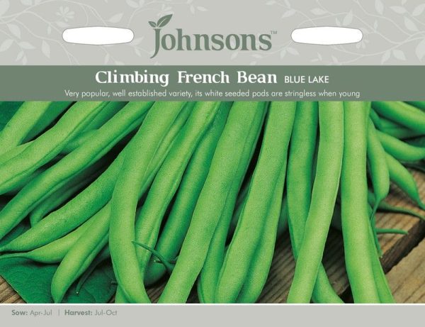 Johnsons Climbing Bean Blue Lake Seeds