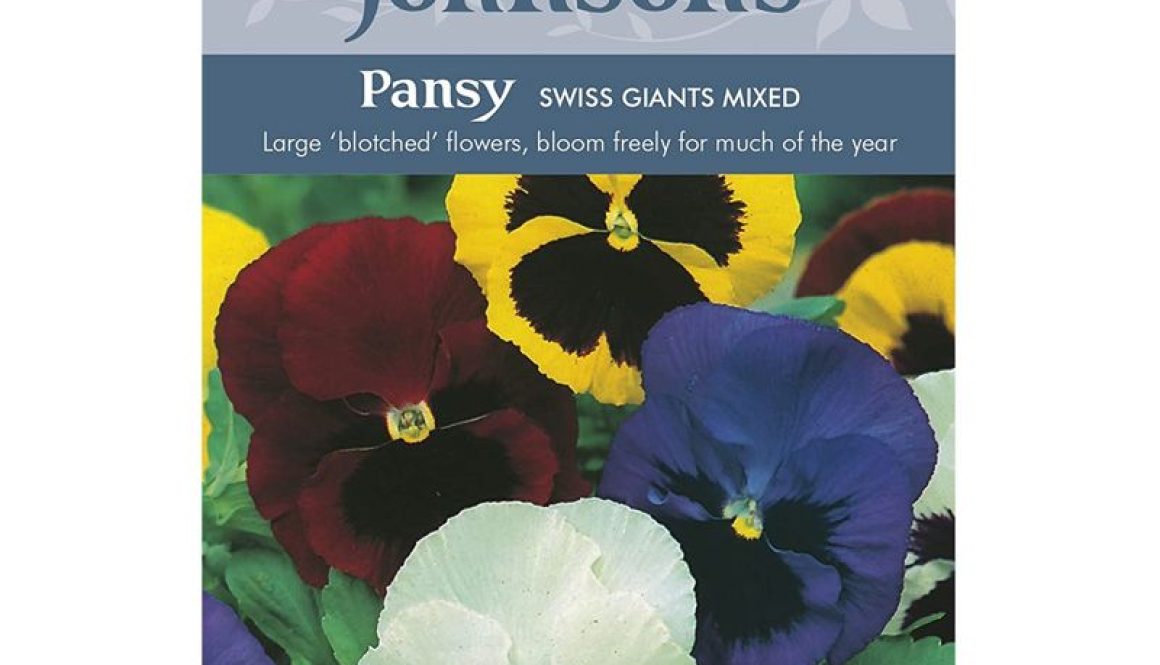 Johnsons Pansy Swiss Giants Mixed Seeds