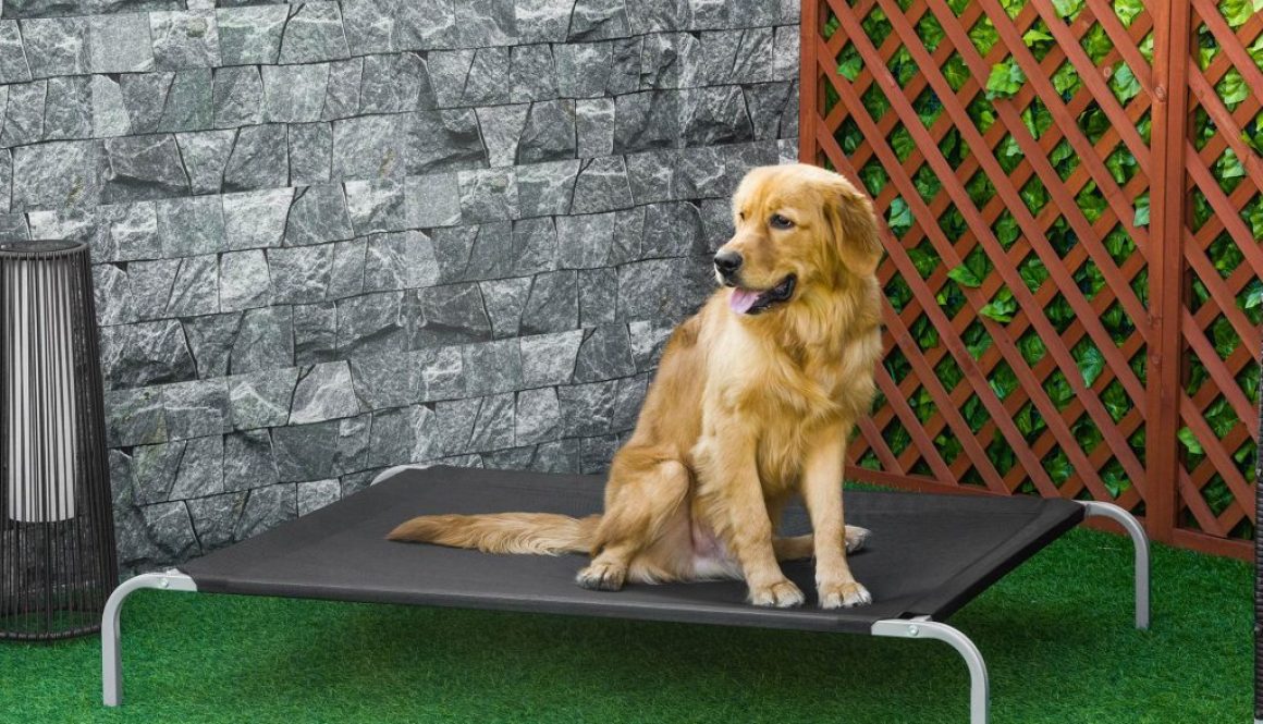 PawHut Elevated Pet Bed Cooling Raised Cot-Style Bed for Large Sized Dogs with Non-slip Pads Steel Frame Breathable Mesh Fabric