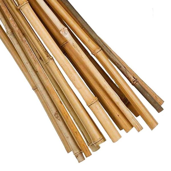 18 Pack 3 Foot Garden Canes