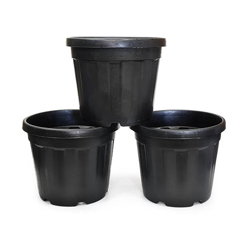 30L Black Cosmo Pot x 3