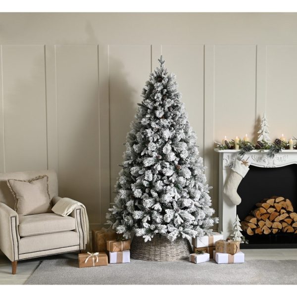 6ft Bishop's Pine Christmas Tree Artificial - White Frosted Green 675 Tips