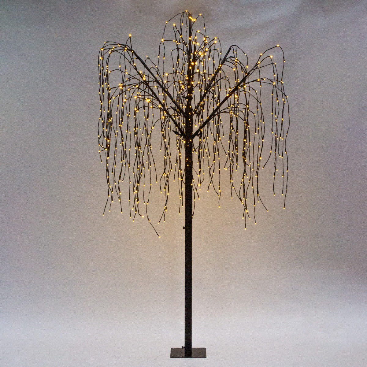 6ft Willow Christmas Tree Light Feature Black with LED Lights Warm White