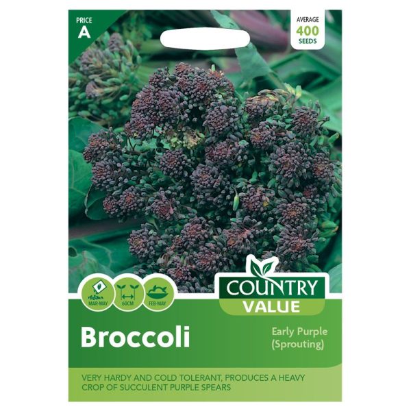 Country Value Broccoli Early Purple Seeds