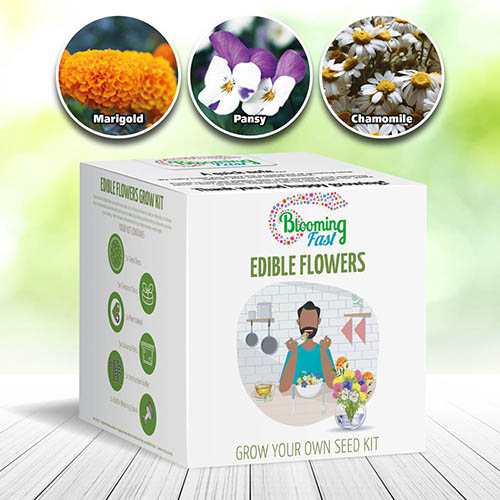 Edible Flowers Seed Kit