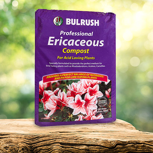 Ericaceous Compost 60L