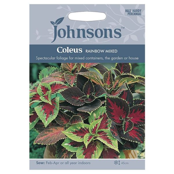 Johnsons Coleus Rainbow Mixed Seeds