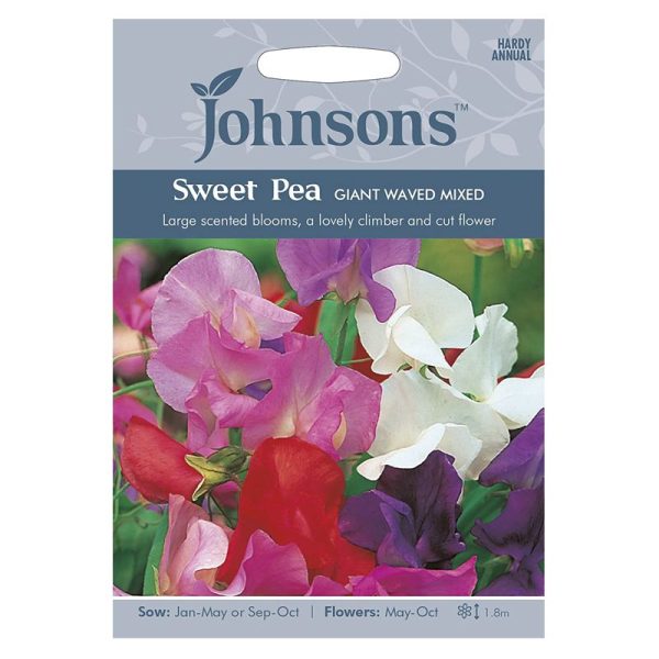 Johnsons Sweet Pea Giant Waved Mi Seeds