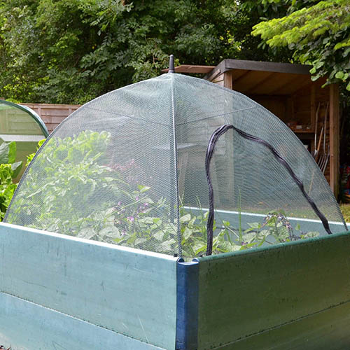 Square Plant Umbrella For Raised Beds